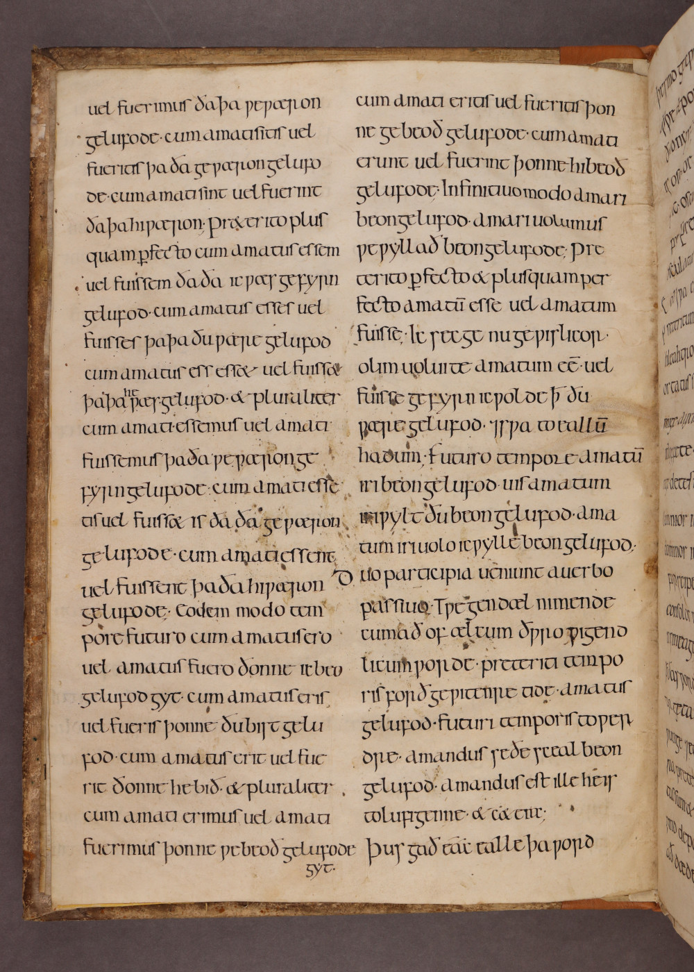 MS 38 Folio v verso